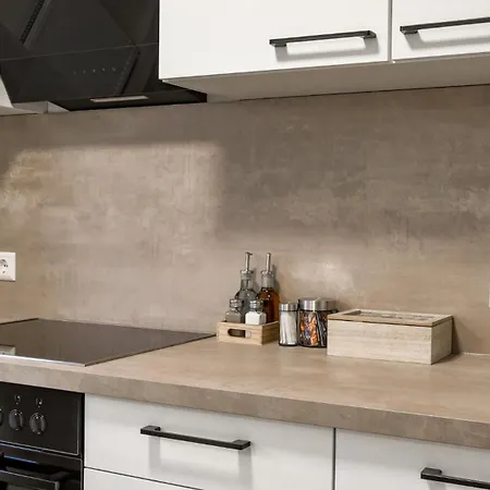 Charmant, Zentral Mit Parkplatz Apartament Ulm